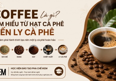 Coffee Là Gì? Tìm Hiểu Từ Hạt Cà Phê Đến Ly Cà Phê
